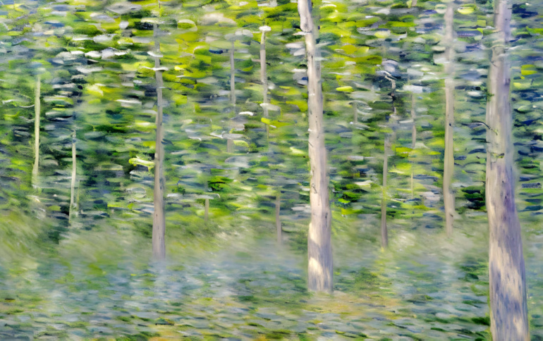 Forest painting