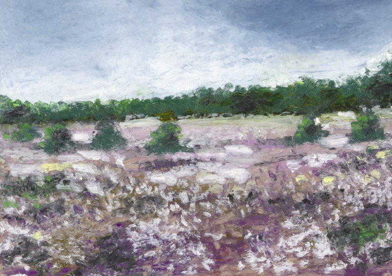 Oil pastel "Lüneburger Heide / 10" by Arup J. Paul