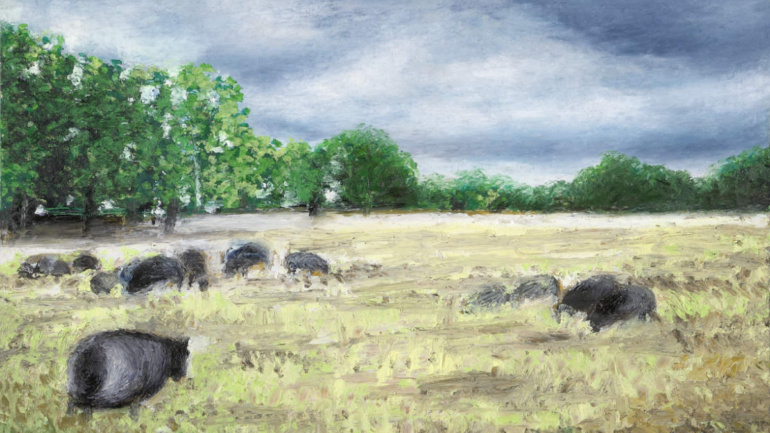 Oil pastel "Lüneburger Heide / 14" by Arup J. Paul