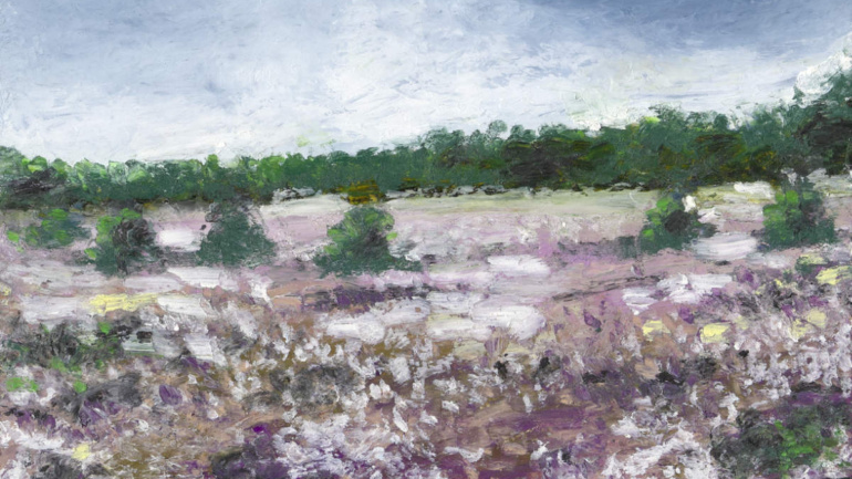 Oil pastel "Lüneburger Heide / 10" by Arup J. Paul