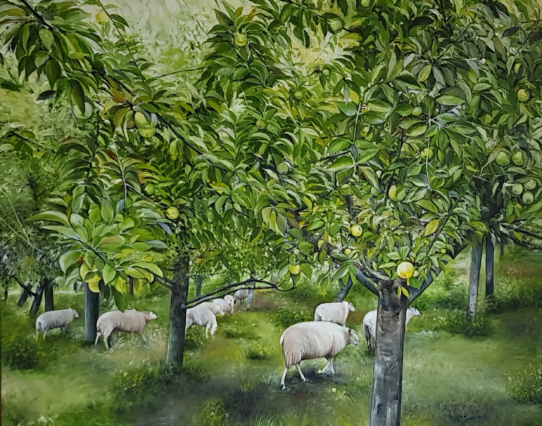 Sheep in the apple orchard in Haseldorfer Marsch