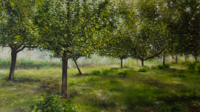 Apple orchard in the Haseldorfer Marsch